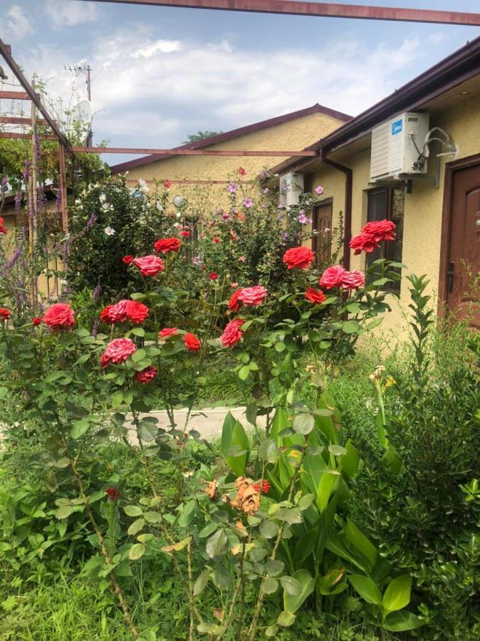 Hotel Villa Eniseli Εξωτερικό φωτογραφία